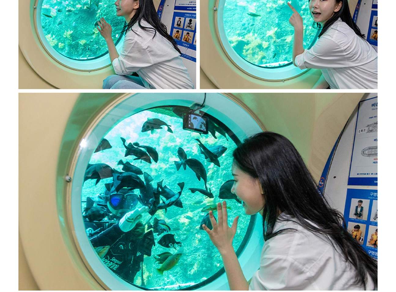 [제주] 서귀포잠수함